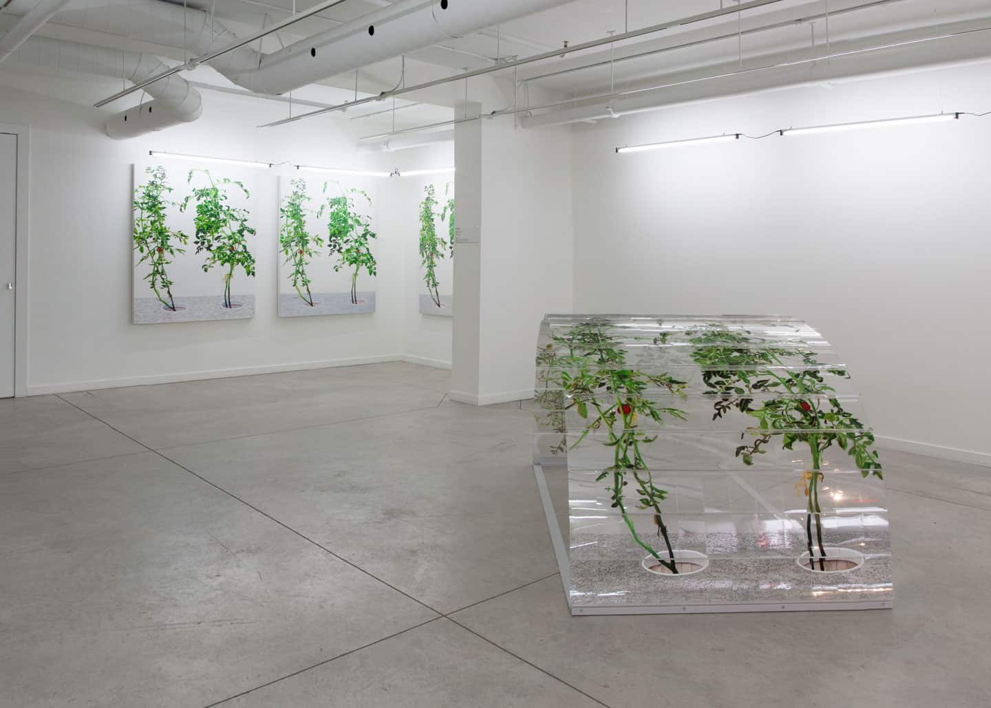 Alex Fischer, VII 6000, 2015,  installed in 1, 7 and 6000, O'Born Contemporary